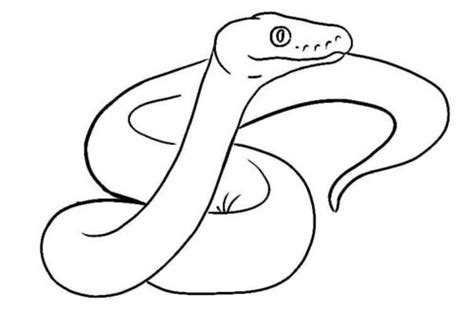 Toradh íomhá ar Python Colouring A3