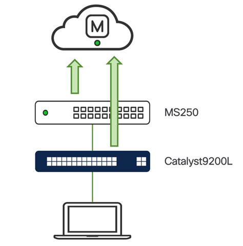 Catalyst Monitoring Sensor に対する画像結果