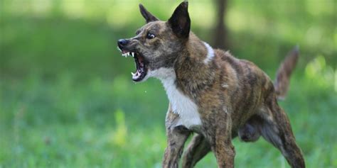 Image result for Overall Tone Examples