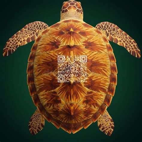 Turtle Shell Visual に対する画像結果