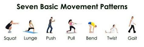 Afbeeldingsresultaten voor Functional Movement Exercises