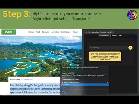 Image result for Language Translator Panel