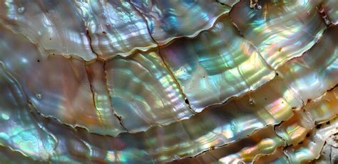 Afbeeldingsresultaten voor Secure Shell Layers