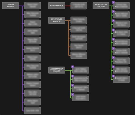 Afbeeldingsresultaten voor Shared Matches On AncestryDNA