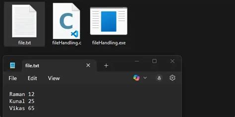Image result for C# FileRead
