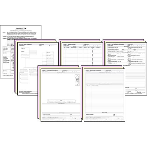 Image result for ICS Form 201