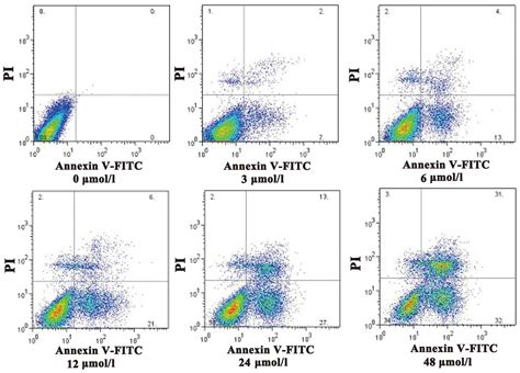 Image result for Marimo Cell Gating Flow Cytometry