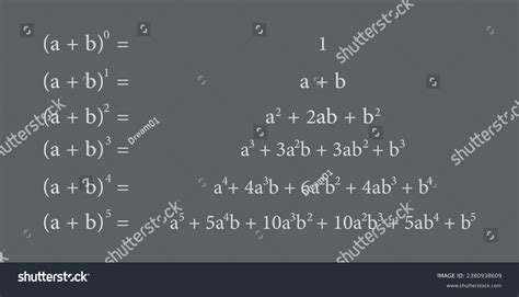 Binomial Vector に対する画像結果