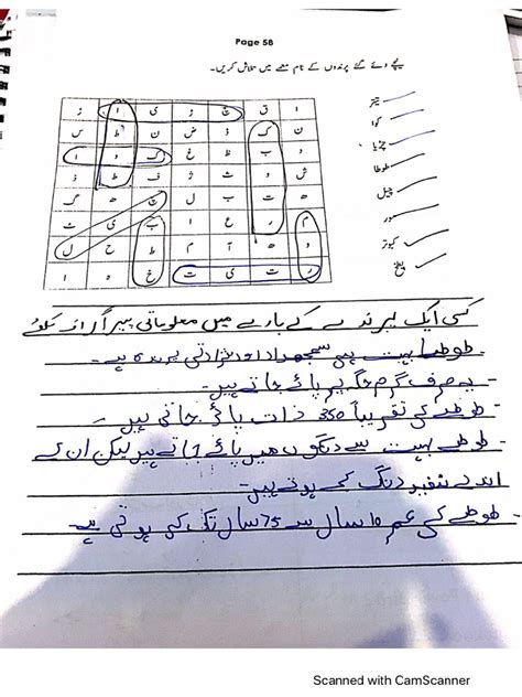Assignment 1 Urdu に対する画像結果