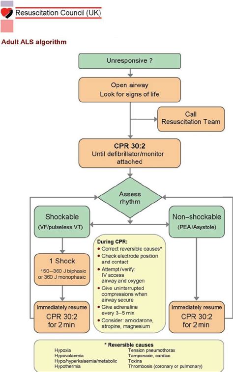 Image result for Advanced Cardiac Life Support Algorithm Cheats Sheets