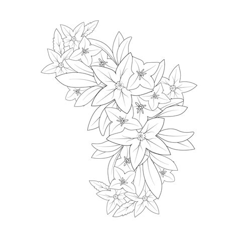 Toradh íomhá ar Bell Flower Drawing