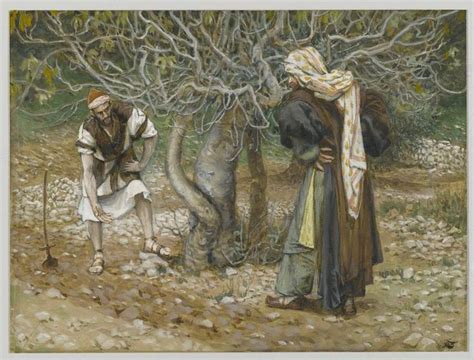 Image result for Jesus Fig Tree Parable