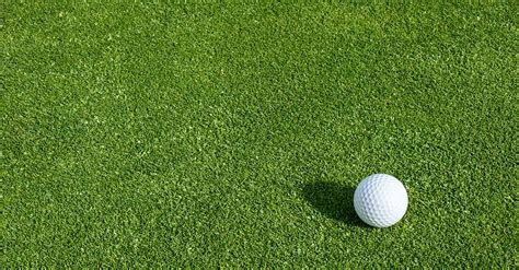 Image result for EFL Golf Turf