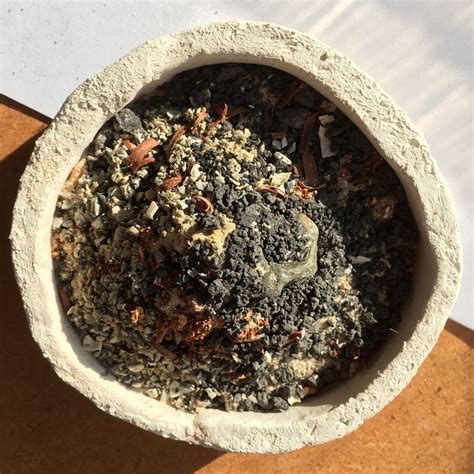 Bildergebnis für Transformers Lava Technology