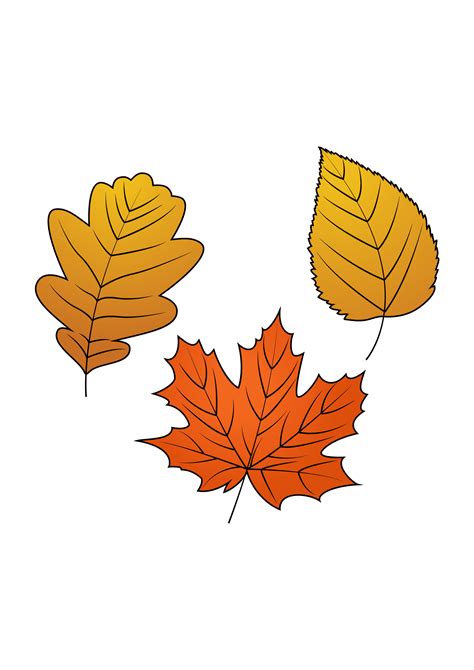 Toradh íomhá ar How to Draw Autumn Leaves Step by Step