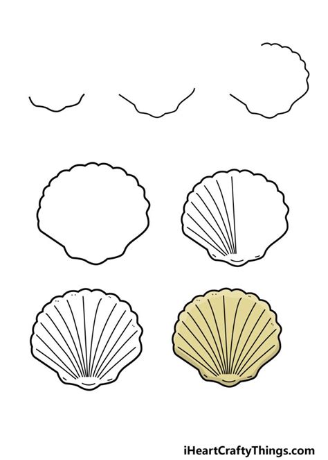 Image result for Shells Step by Step