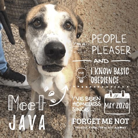 Forget My Name Microsoft Java に対する画像結果