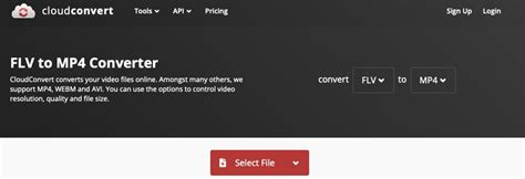 Toradh íomhá ar How to Open FLV File