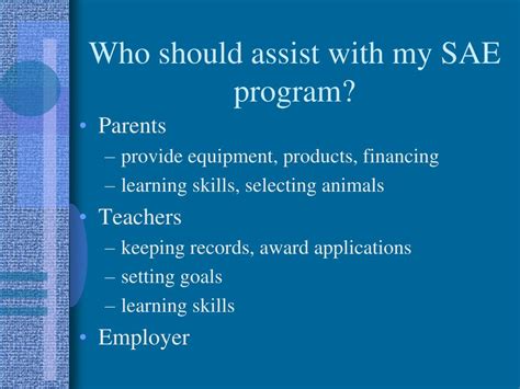 SAE Program に対する画像結果