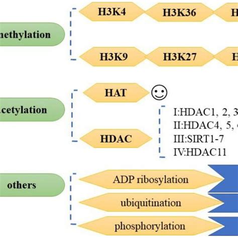 Image result for Single Cell Histone Modification