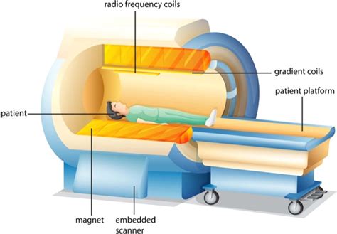 Image result for MRI Array Detection