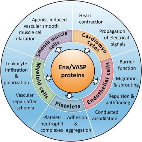 Image result for Work Function VASP