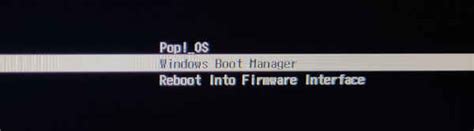 Install Pop OS Dual Boot に対する画像結果