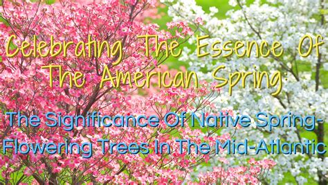 Toradh íomhá ar Native American Spring Gathering Games