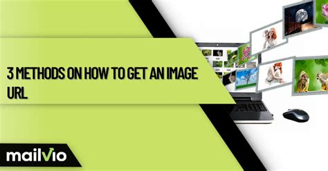 Image result for How to Get URL of Image