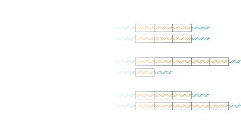 Image result for Copy-Number Variation