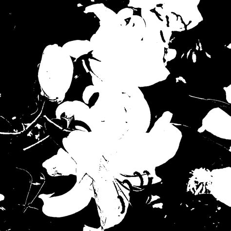 Image result for White Color Array Python