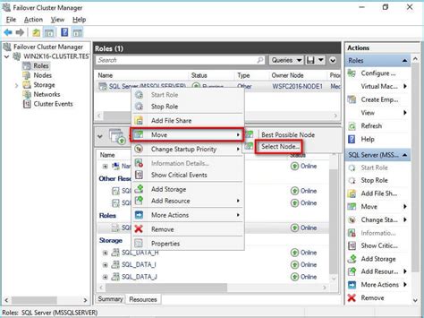 Toradh íomhá ar Check Cluster in Windows Database