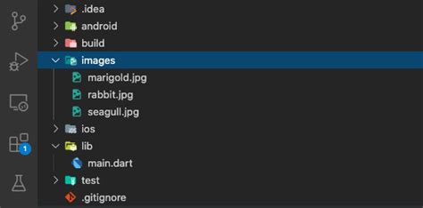 Local Save Image in Flutter に対する画像結果