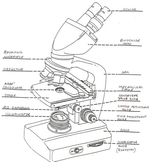 Binocular Compound Microscope Drawing に対する画像結果