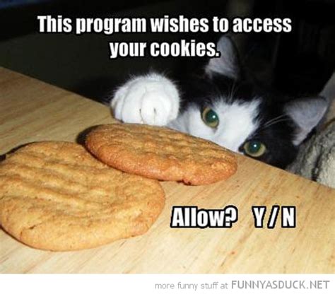 Image result for Allowing Cat Cookies Computer