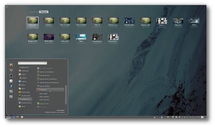 Image result for Linux Mint Cinnamon Desktop