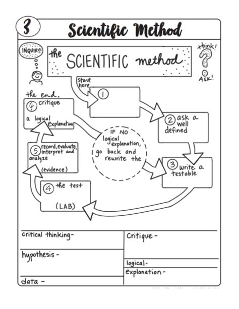 Image result for Flowchart Showing the Scientific Method