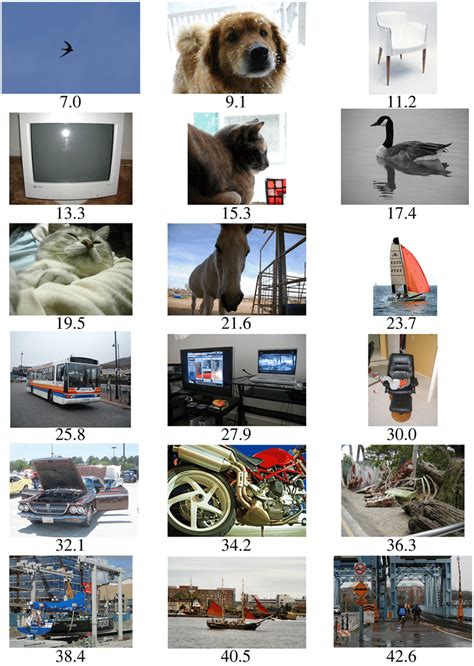 Image result for Pascal's Dataset