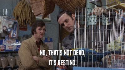 Afbeeldingsresultaten voor Monty Python Dead GIF