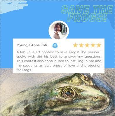 Frog Drawing Contest Meme に対する画像結果