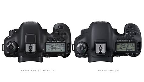 Image result for 5D Mark 4 vs 7D Mark 2