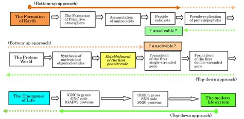 Image result for Evolutionary Steps