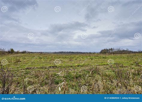 Image result for Dead Crop Field