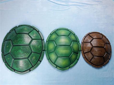Image result for Turtle Shell Craft