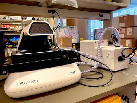 Evos Inverted Microscope に対する画像結果