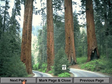 Tornado Games Space Bar Game に対する画像結果