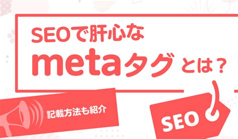 Meta Tags Examples に対する画像結果