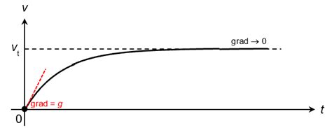 Terminal Velocity Displacement Time Graph に対する画像結果