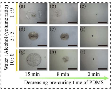 Image result for PDMS Solvent