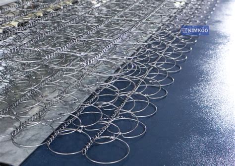 Image result for Bonnell Spring Icon